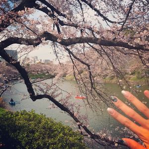 日本女孩和公公操小伙
